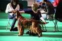 Crufts2011 008